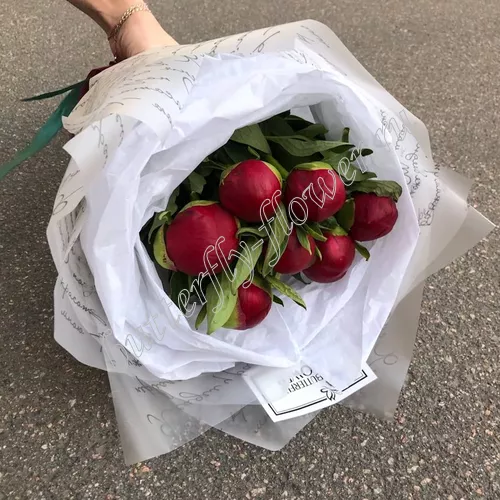 Джудит Лоу