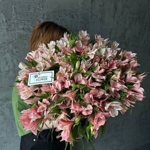 Букет из 35 розовых альстромерий 