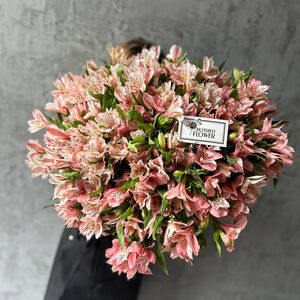 Букет из 45 розовых альстромерий
